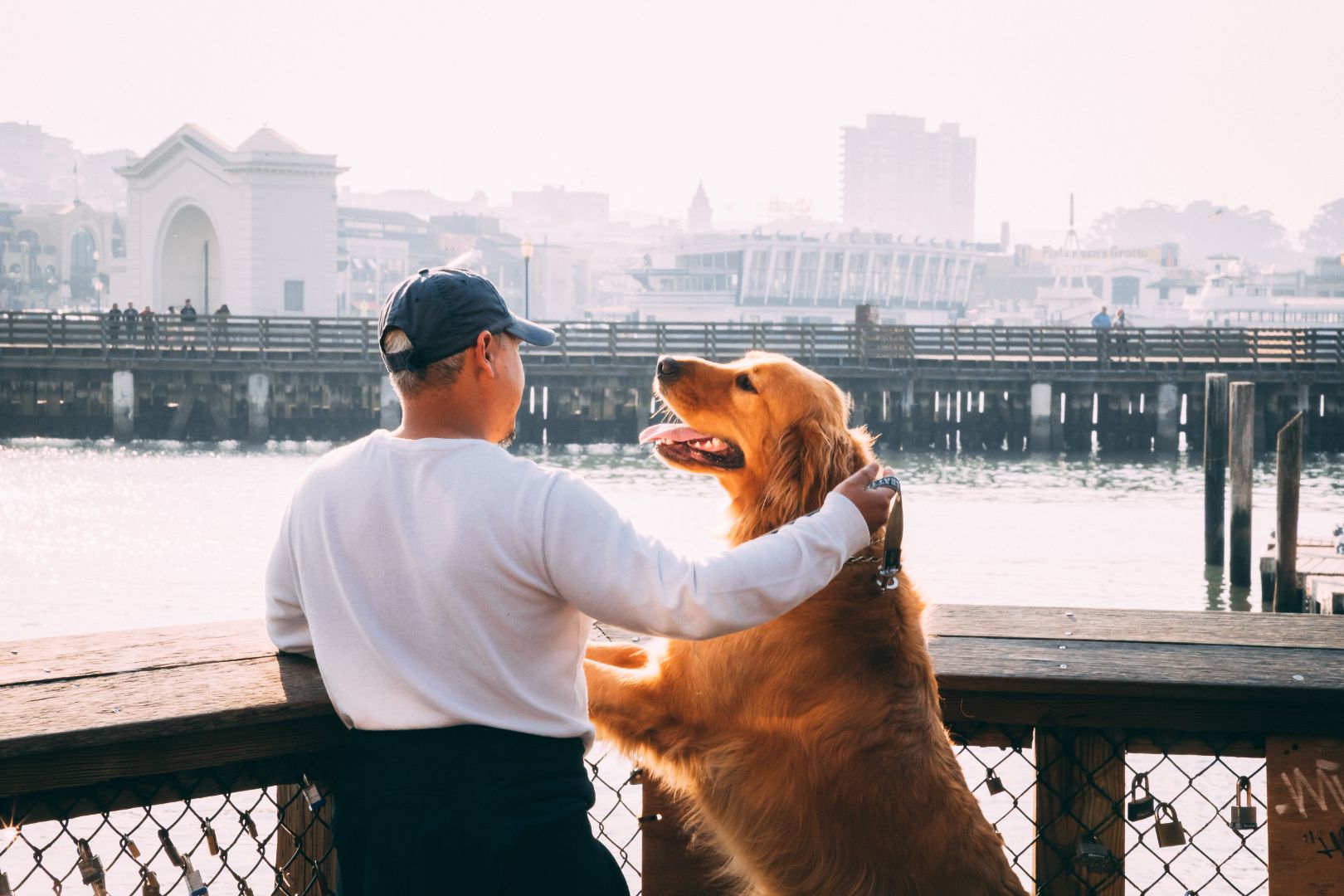 Pawsitive Influence: How Our Furry Friends Boost Our Mental Well-Being