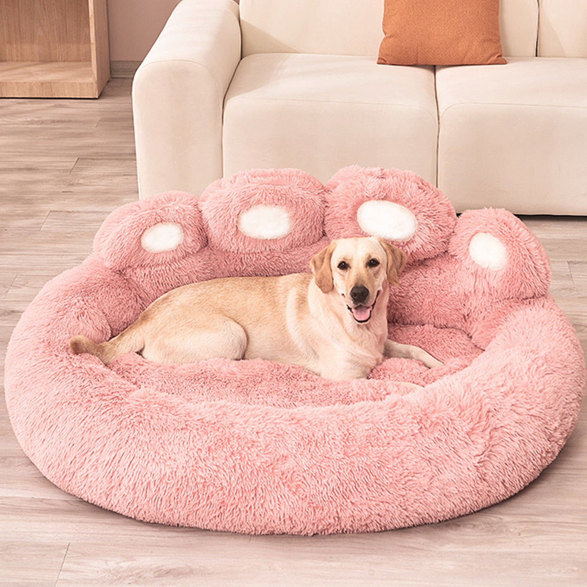 Cozy Dog Sofa Beds