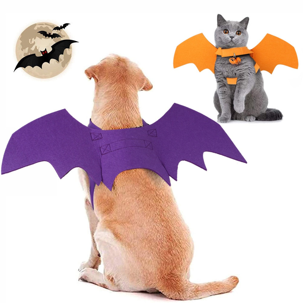 Pet-o-ween Costume for Halloween