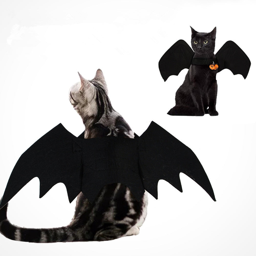 Pet-o-ween Costume for Halloween