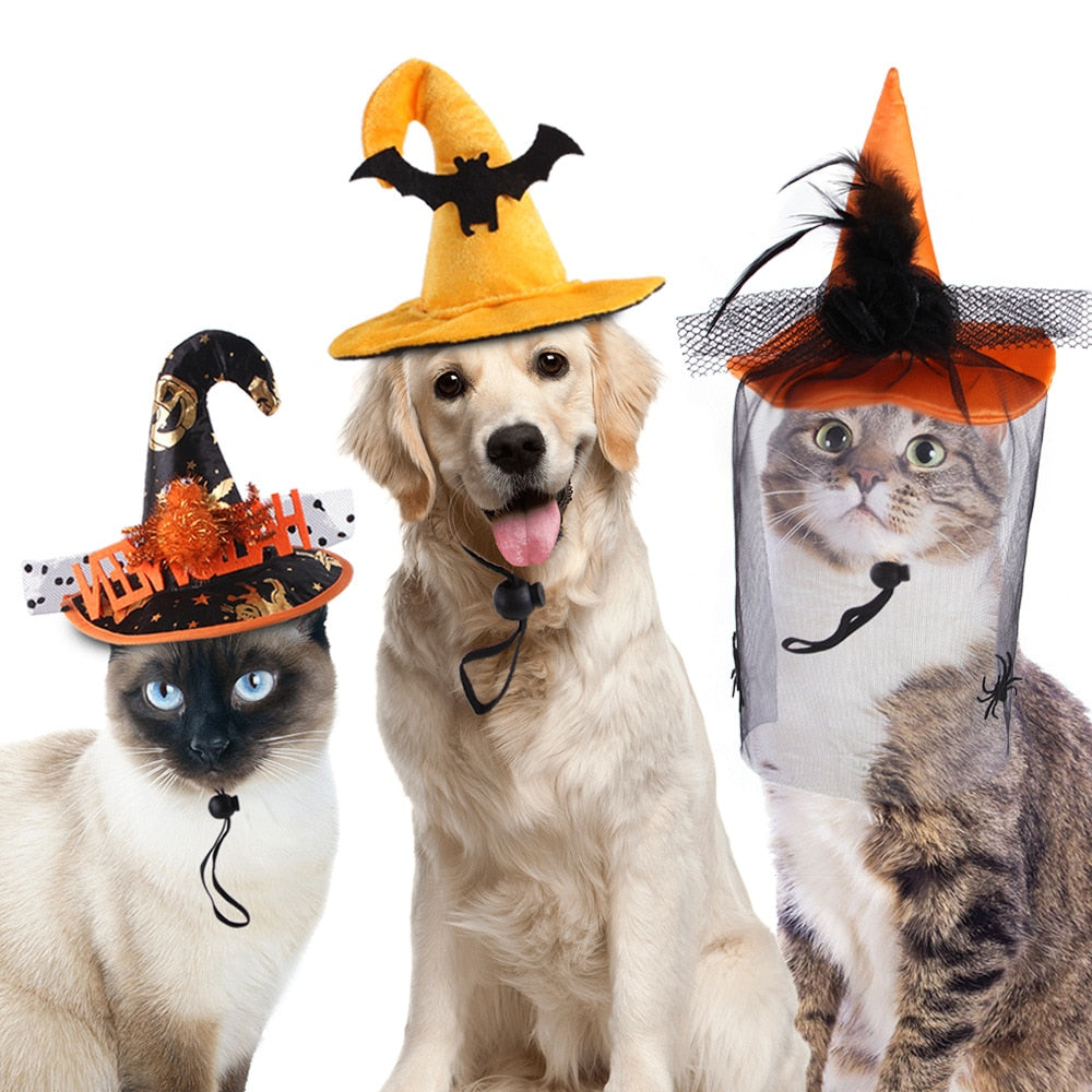 Pet-o-ween Costume for Halloween