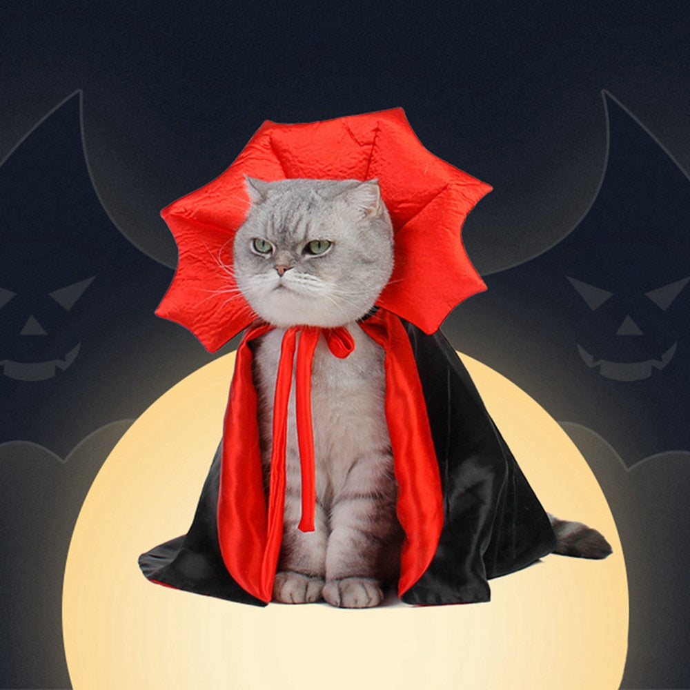 Cute Halloween Pet Costumes