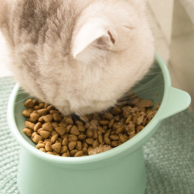 Anti-Choke Tilted Pet Bowl