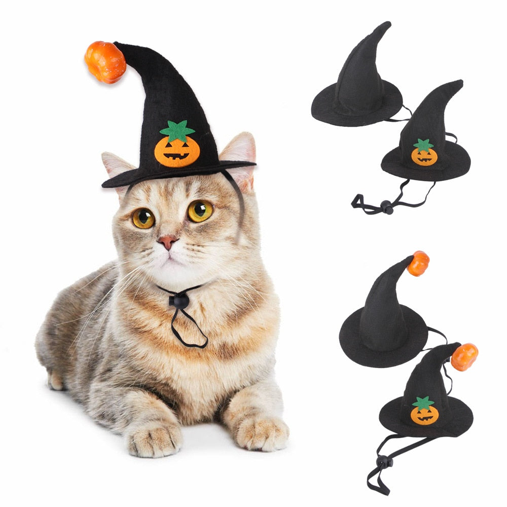 Pet-o-ween Costume for Halloween